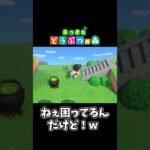 【あつ森】住民にアピールした結果ww#shorts #ゲーム配信 #あつまれどうぶつの森 #あつ森 #セルバンテス