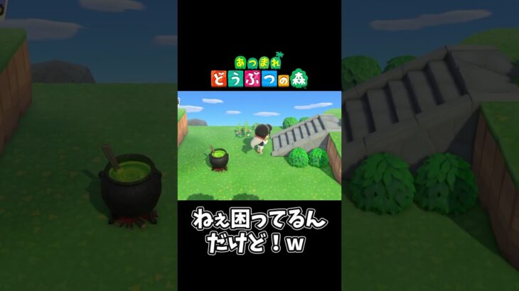 【あつ森】住民にアピールした結果ww#shorts #ゲーム配信 #あつまれどうぶつの森 #あつ森 #セルバンテス