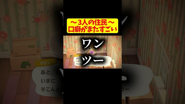 【あつ森】みんな口癖最高すぎ！！www #5【あつまれ どうぶつの森】 #shorts #games