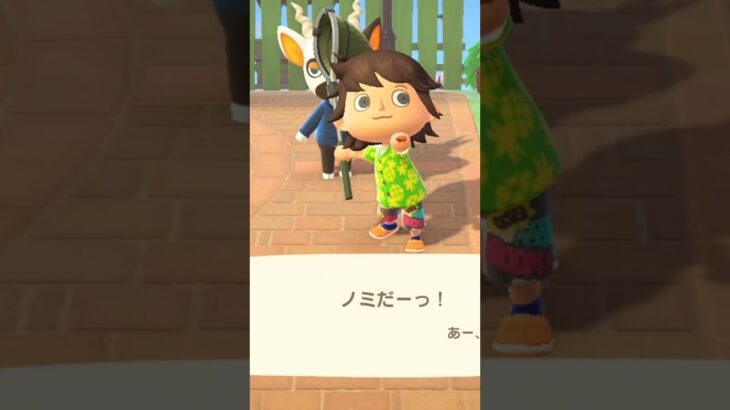 【あつ森】またノミがついていたネルソンさんwww #shorts #あつ森