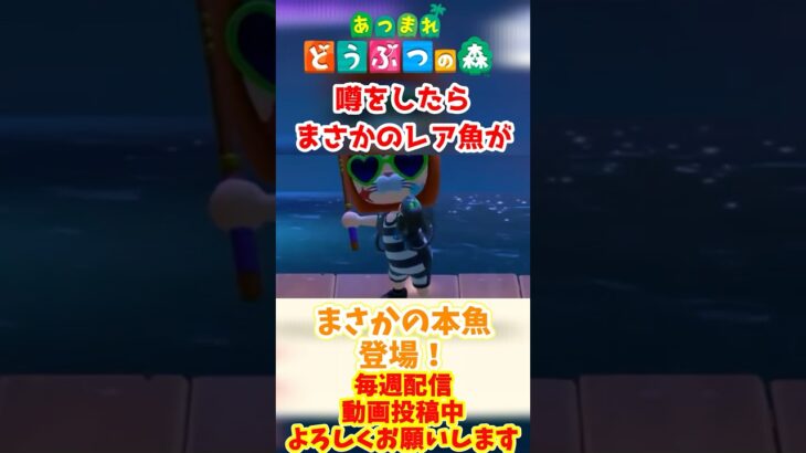 【#あつ森 】耐久配信でレアな魚の噂をしたらアレが釣れてしまったwww #あつまれどうぶつの森 #島クリ #shorts