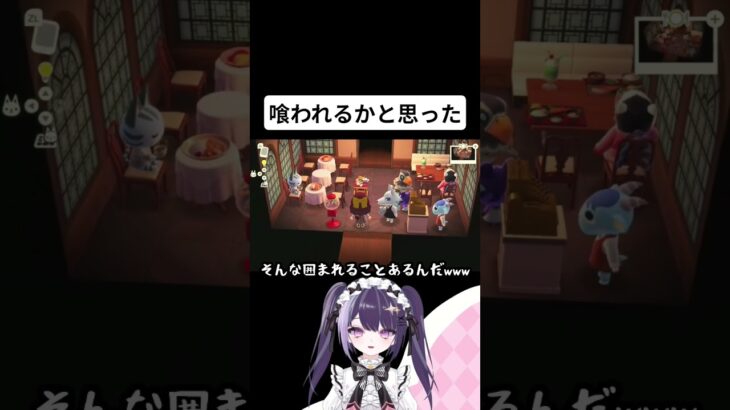 【あつ森/弱肉強食】ナイフとフォーク持って席立つことないだろ普通www#あつ森 #あつまれどうぶつの森 #vtuber #配信切り抜き