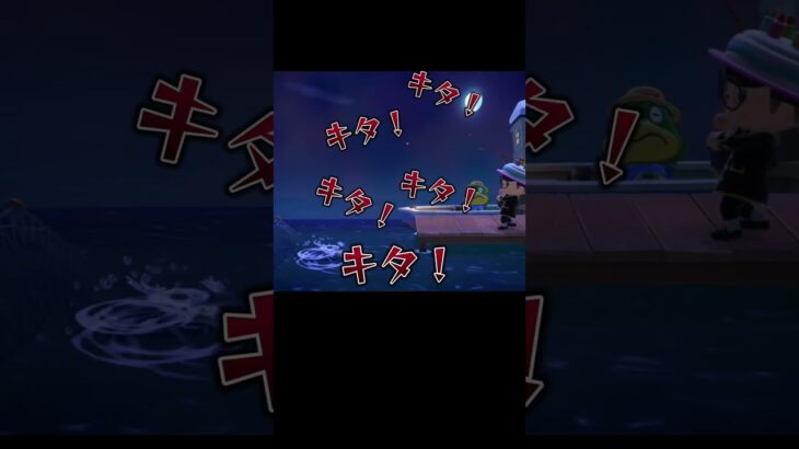 空気が読めないマグロwww【あつ森】#shorts