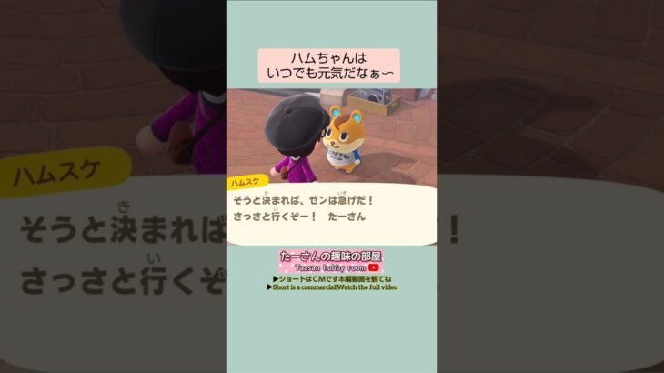 【あつ森】ハムスケがお家に遊びに来た@たーさんの趣味の部屋 #たーさん住民と遊ぶ #youtubeshorts