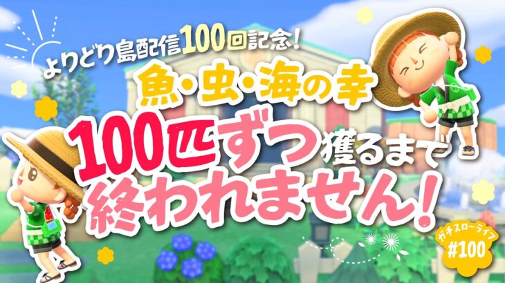 【あつ森】祝🎊よりどり島配信100回！魚・虫・海の幸を100匹ずつ獲るまで終われません👐【よりどり島】
