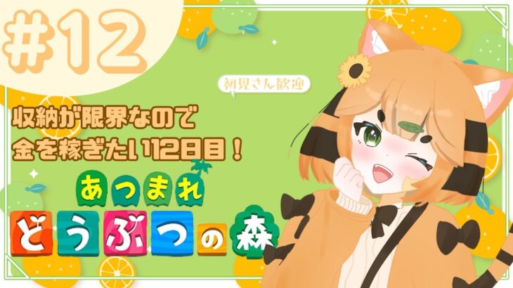 【あつ森】収納が限界なので金を稼ぎたい12日目！#12　島クリもしたい！