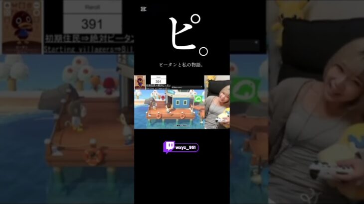 あつ森、15時間の住人リセマラ