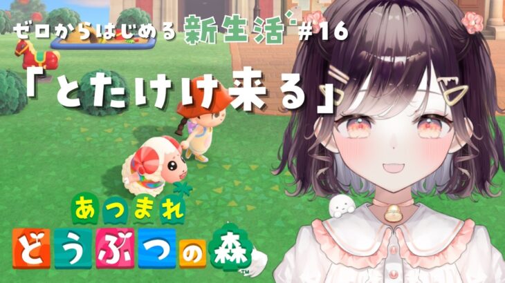 【あつ森】ついに、とたけけが来る！！！ #16【たここ/Vtuber】
