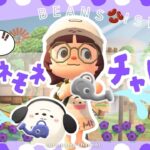 【あつ森🫘】1日目🌱青バラの次に難しい？『紫アネモネの交配』するゾッ￤壮大なBGMたちと共にー【7/14(火)】