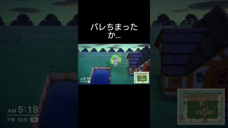 あつまれどうぶつの森20周年おめでとう！#あつ森 #ゲーム実況 #周年