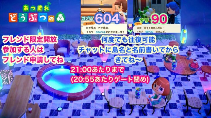 【あつ森】2026,7/11 カブ価604&ウリ90(21:00あたりまで)【フレンド限定開放、参加する人はフレンド申請してね】