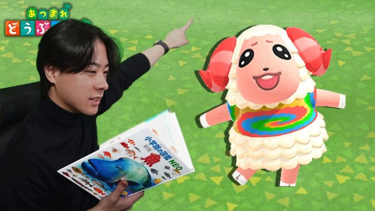 本物の図鑑で行くあつもり‼ ＃21【あつまれ どうぶつの森】