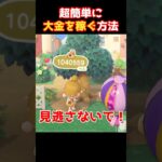 【あつ森】超簡単に大金のベルを稼ぐ方法3選！ #小ネタ #裏技 #あつまれどうぶつの森