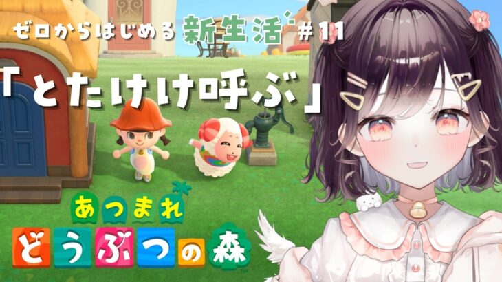 【あつ森】島の評判を星3にしたい #11【たここ/Vtuber】