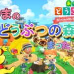 【あつ森】借金生活がはじまり！！【あつまれどうぶつの森】#3