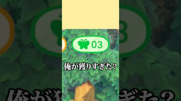 【あつ森】あつ森歴3年の本気の虫取り