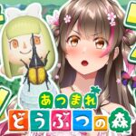 【あつ森】夏の3大レア虫を制覇するまで何時間かかる？！ 7月の夜に虫捕りチャレンジ！【あつまれ どうぶつの森】