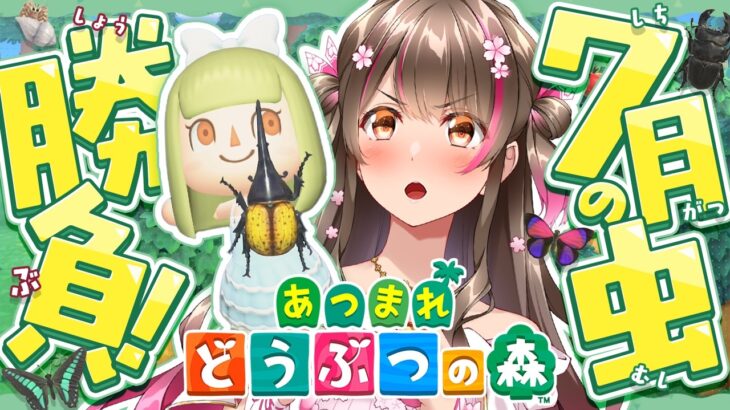 【あつ森】夏の3大レア虫を制覇するまで何時間かかる？！ 7月の夜に虫捕りチャレンジ！【あつまれ どうぶつの森】