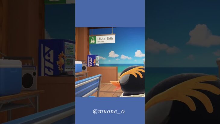 【あつ森🏝】🌊✨海を感じられるレイアウト3選 VIP Room Tour🏡📸 #acnh #animalcrossing #あつまれどうぶつの森 #あつ森 #asmr #ゲーム動画 #shorts