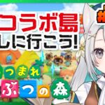 あつ森┊31コラボの夢島 探検にいこう！┊あつまれどうぶつの森 #131【猫百合イッサ／StellarRealm】