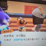 【あつ森】カブ価310！チャンネル登録、高評価で参加OK！