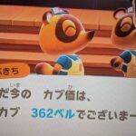 【あつ森】カブ362チャンネル登録、高評価で来島OK！