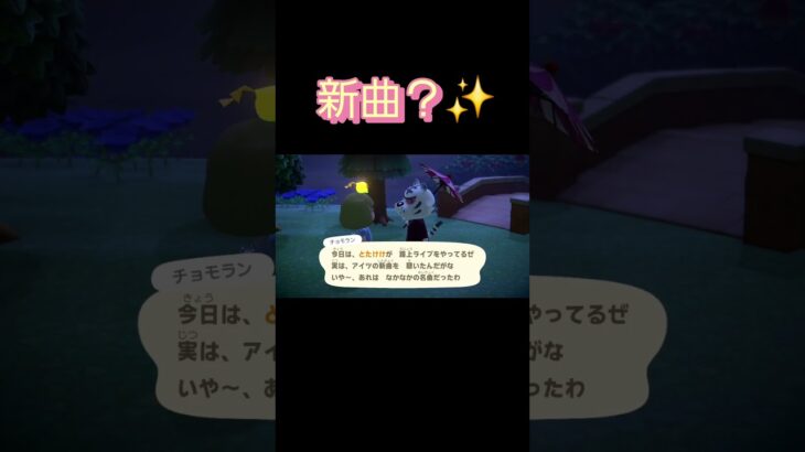 あつ森　#376　まったりして行きませんか？🐯✨️
