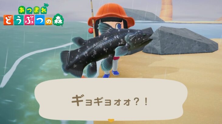 全人類の憧れを釣りました　あつ森初見#4【あつまれ どうぶつの森】