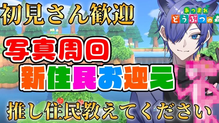 【#あつ森配信  】5分だけお話しましょ！いよいよ本格的に写真周回生活配信！ #215 #あつまれどうぶつの森  #雑談配信