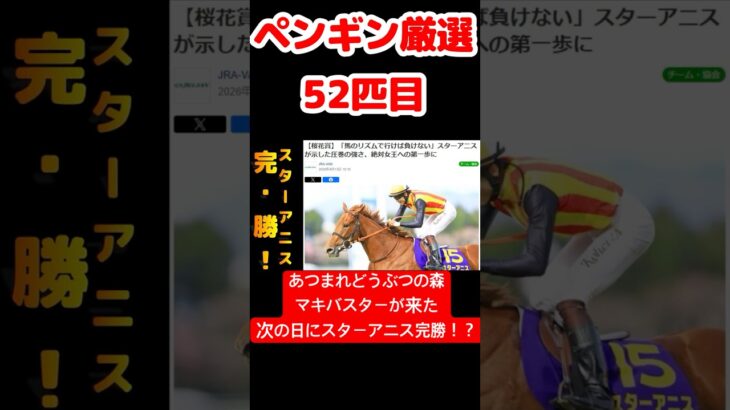 【あつ森】ペンギン厳選52匹目 #vtuber  #ゲーム実況