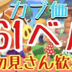 【あつ森とテトリス】カブ価561ベル島など　ライブ参加型