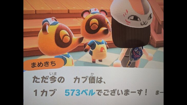【あつ森】カブ価573！チャンネル登録、高評価で参加OK！