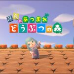 【あつ森】576カブ島開放と神経衰弱【カメレオン】おさわり希望の方は鞄をからっぽにして遊びにきてね
