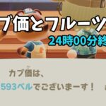 【あつ森】カブ価593ベルと全種フルーツを配布！まったりカブ活初心者歓迎