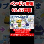 【あつ森】ペンギン厳選66.67匹目 #vtuber  #ゲーム実況