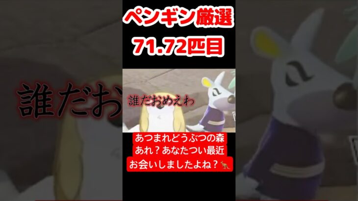 【あつ森】ペンギン厳選71.72匹目 #vtuber  #ゲーム実況