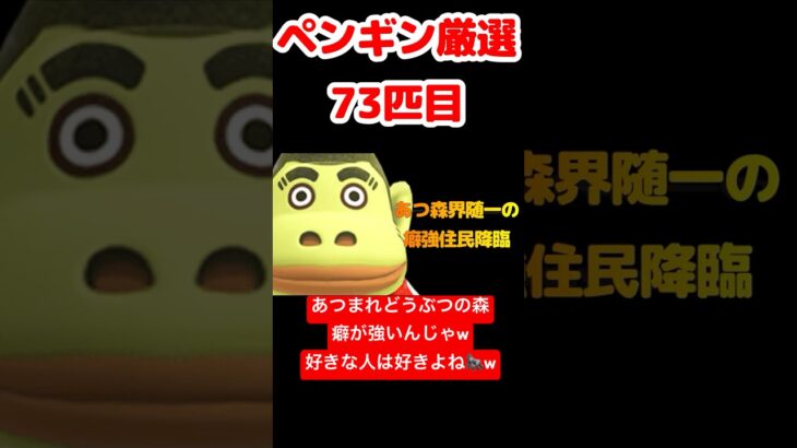 【あつ森】ペンギン厳選73匹目 #vtuber  #ゲーム実況