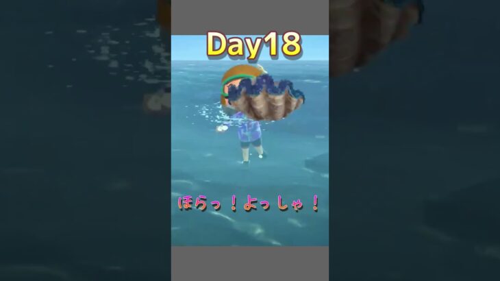 🔵【あつ森】ビックリ😲総額74万ベル💰｜レア海の幸 オオシャコガイ#あつ森