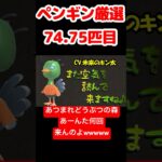 【あつ森】ペンギン厳選74.75匹目 #vtuber  #ゲーム実況
