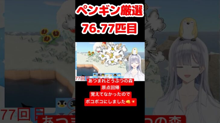 【あつ森】ペンギン厳選76.77匹目 #vtuber  #ゲーム実況