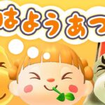 サーティワン島へ🍨朝活🐓おはようあつ森！7/7(火)
