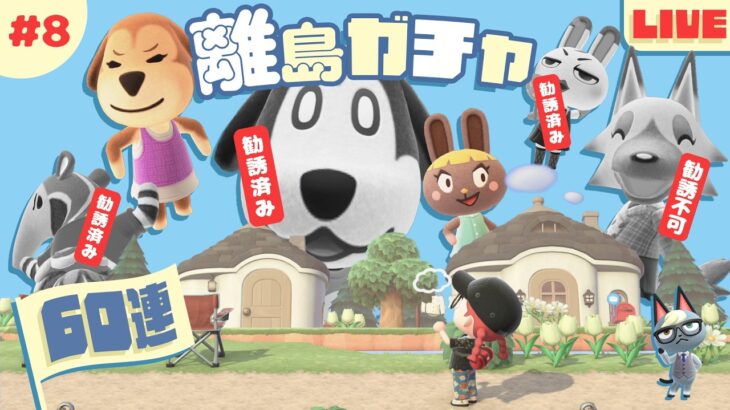 【あつ森 離島ガチャ 第8回】勧誘枠はあと1人！！｜#animalcrossing