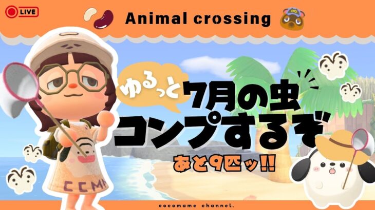 【あつ森🫘】７月の輝かしい虫たちを捕獲するぞー🐝￤残り9匹だッ【7/13(月)】