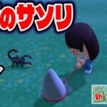 【あつ森】因縁の宿敵サソリを今度こそ捕まえてやんよ！！！！！【あつまれどうぶつの森#99】