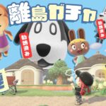 【あつ森 離島ガチャ 第9回】もうジャック来いよ!!!どこで油売ってんだよ🐱｜#animalcrossing