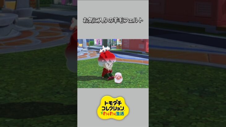 【トモコレ】羊毛フェルトがお気に入りの、ちゃちゃまる🥰【あつ森】【トモダチコレクションわくわく生活】【ACNH】 #short