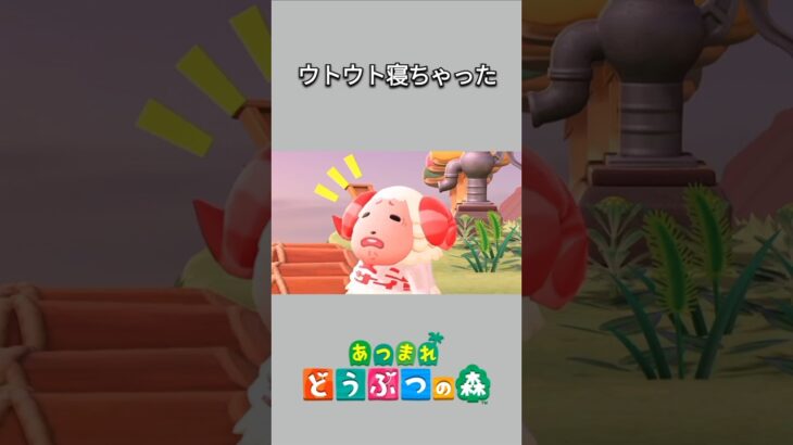 【あつ森】ウトウト寝ちゃってたちゃちゃまる😴ハッっとして起きた時の顔が可愛い😊💕【あつまれどうぶつの森】【どうぶつの森】【ACNH】 #short
