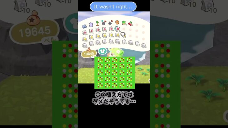 【あつ森】 青バラを咲かせたい！　Blue rose challenge!