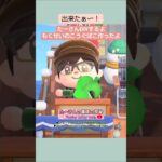 【あつ森】もくせいのこうぐばこ作ったよ@たーさんの趣味の部屋 #たーさんDIYするよ #mochachan島 #youtubeshorts
