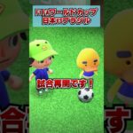 FIFAワールドカップ！日本VSブラジルに奇跡が！[あつまれどうぶつの森]